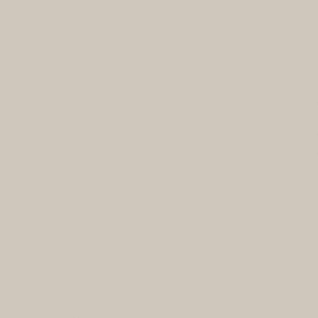 Краска Charmant цвет Stainless Steel NC17-0217 Sommet 0.9 л