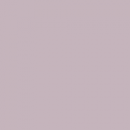 Краска Little Greene цвет NCS S 2010-R30B