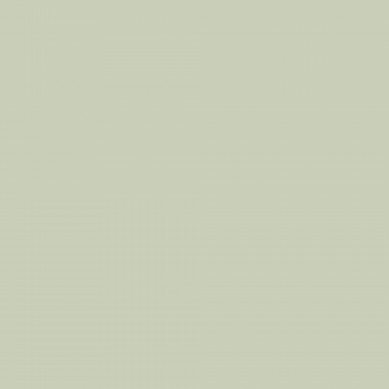 Краска Charmant цвет Green Glass NC34-0746 Sommet 0.9 л