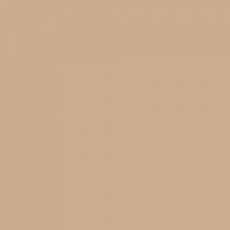 Краска Swiss Lake цвет Bronze Sand NC21-0345
