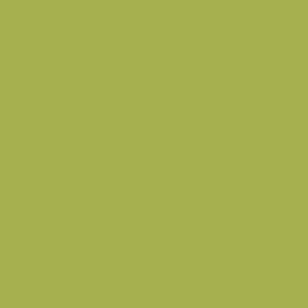 Краска Little Greene цвет NCS S 2050-G60Y