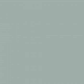 Краска Charmant цвет Dry Needles NC35-0757 Sommet 0.9 л