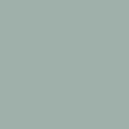 Краска Charmant цвет Dry Needles NC35-0757 Sommet 0.9 л