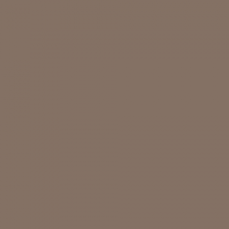 Краска Swiss Lake цвет Allspice SL-0652