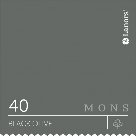 Краска Lanors Mons цвет Black olive 40 Маслина