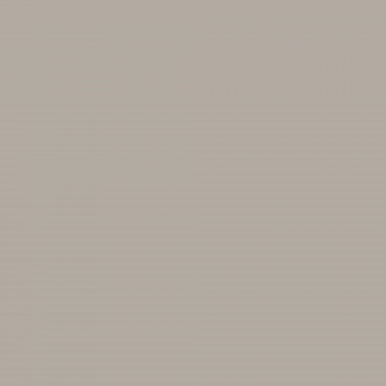Краска Charmant цвет Gray Hound NC39-0881 Sommet 0.9 л