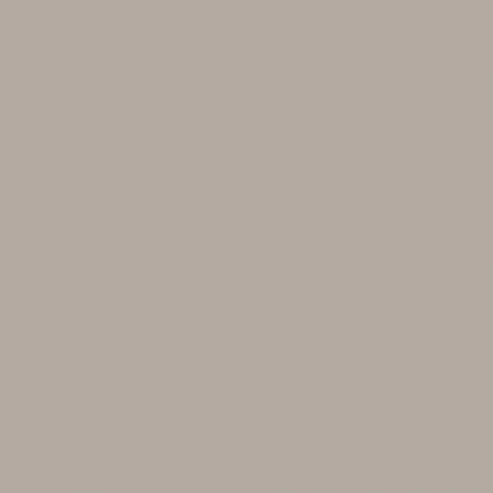 Краска Charmant цвет Gray Hound NC39-0881 Sommet 0.9 л