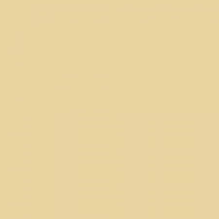 Краска Little Greene цвет NCS S 1020-Y10R