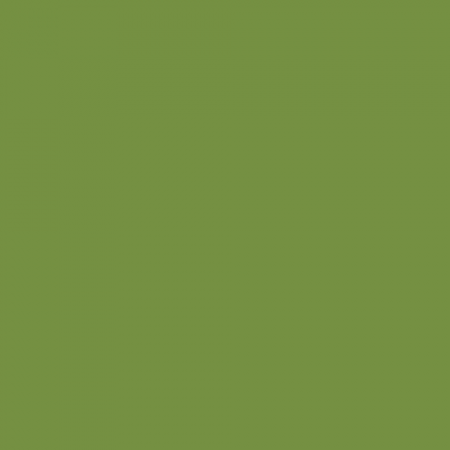 Краска Little Greene цвет NCS S 3050-G40Y