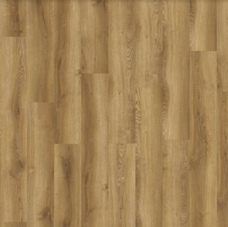 SPC ламинат Adelar Solida Acoustic Traditional Oak 03866
