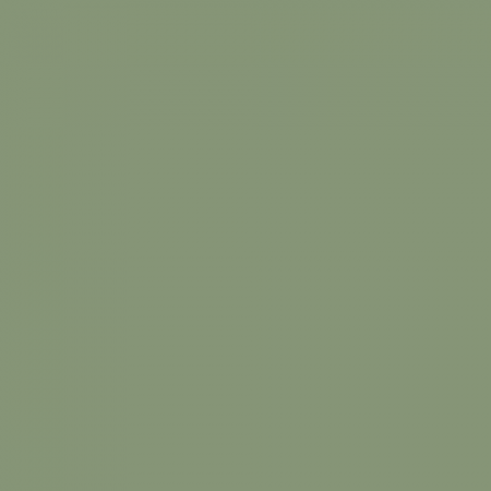 Краска Swiss Lake цвет Spring Leaves NC37-0832