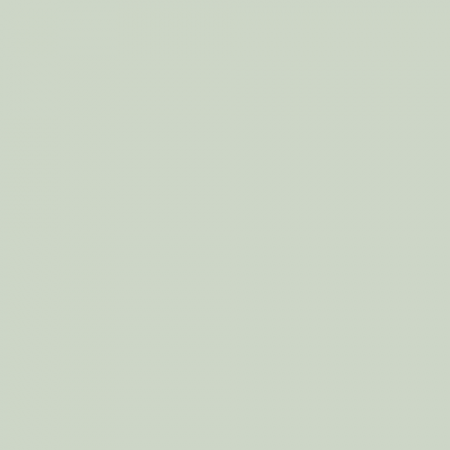 Краска Swiss Lake цвет Clean Khaki SL-2459
