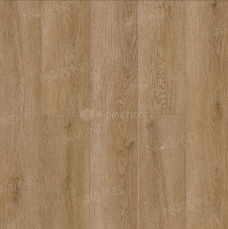 Виниловый пол Norland клеевой Sigrid LVT 1003-20 Niky