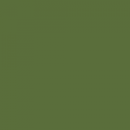 Краска Little Greene цвет Fern green RAL 6025