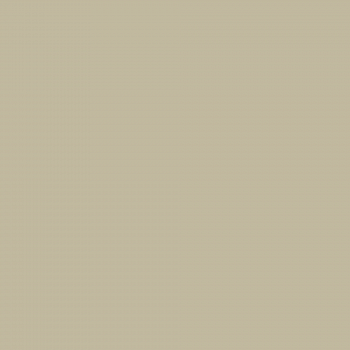 Краска Charmant цвет Khaki Green NC38-0842 Sommet 0.9 л