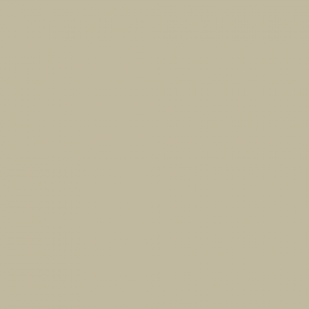 Краска Charmant цвет Khaki Green NC38-0842 Sommet 0.9 л