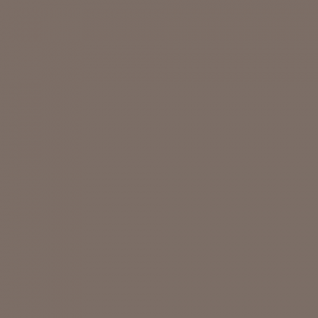 Краска Swiss Lake цвет Cacao Bean NC10-0030