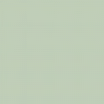 Краска Charmant цвет Sage Green NC34-0748 Sommet 0.9 л