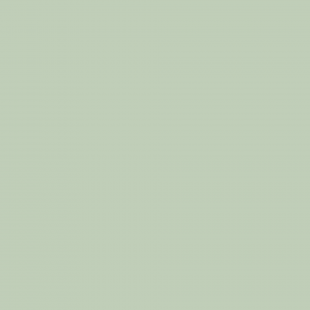 Краска Charmant цвет Sage Green NC34-0748 Sommet 0.9 л