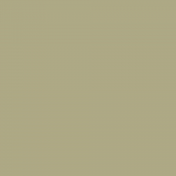 Краска Charmant цвет Guacamole NC38-0859 Sommet 0.9 л