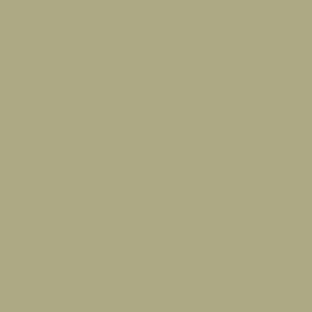 Краска Charmant цвет Guacamole NC38-0859 Sommet 0.9 л
