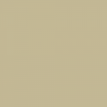 Краска Charmant цвет Autumn Olive NC38-0858 Sommet 0.9 л