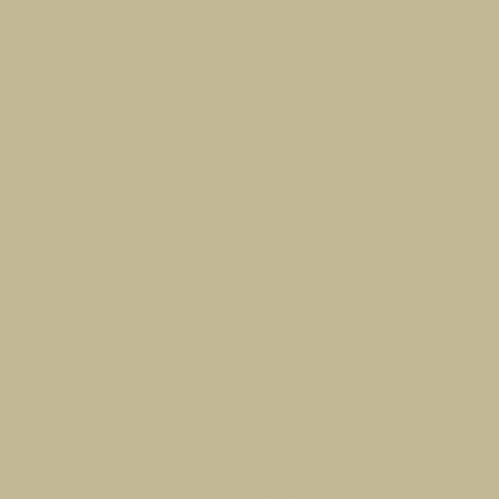 Краска Charmant цвет Autumn Olive NC38-0858 Sommet 0.9 л