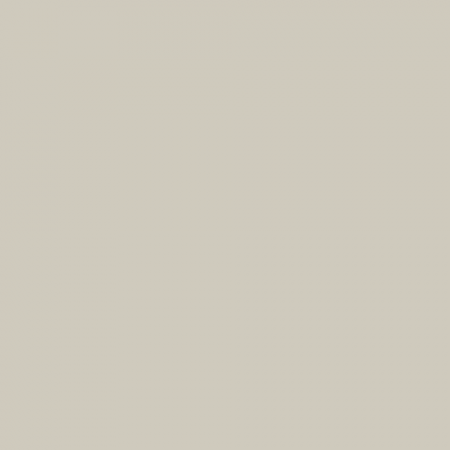 Краска Swiss Lake цвет Ash Grey NC17-0221