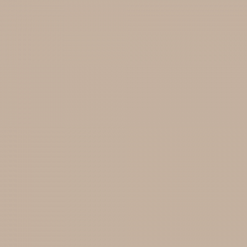Краска Charmant цвет Walnut Wood NC17-0223 Sommet 0.9 л