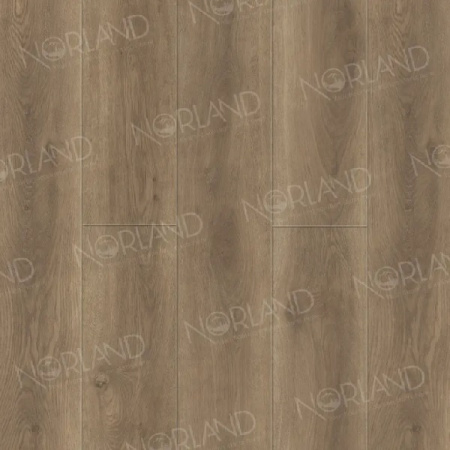 SPC ламинат Norland NeoWood Tista 2001-8