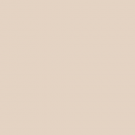 Краска Charmant цвет Oatmeal NC18-0251 Sommet 0.9 л