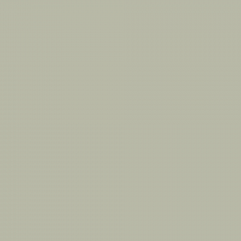 Краска Charmant цвет Bird Flock NC37-0814 Sommet 0.9 л