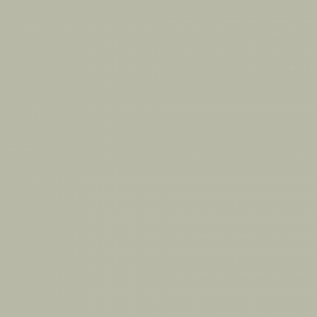Краска Charmant цвет Bird Flock NC37-0814 Sommet 0.9 л