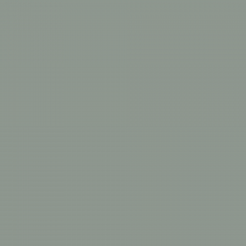 Краска Charmant цвет Greenish Graphite NC36-0784 Sommet 0.9 л