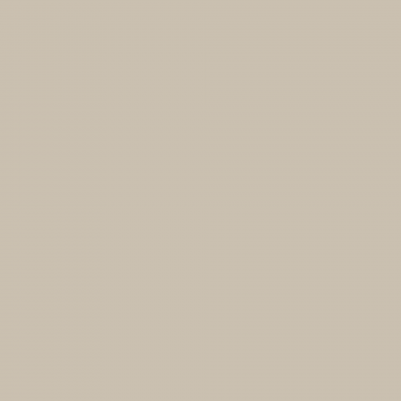 Краска Charmant цвет Unbaked Clay NC11-0045 Sommet 0.9 л