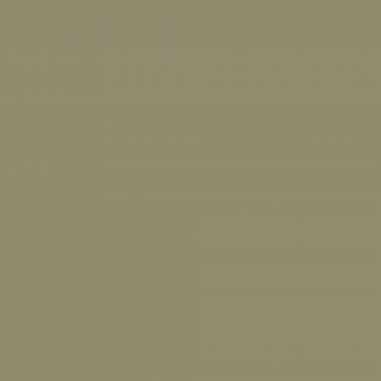 Краска Charmant цвет Green Onyx NC36-0781 Sommet 0.9 л