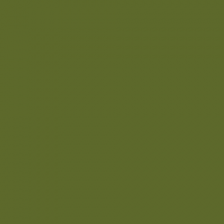 Краска Little Greene цвет NCS S 5040-G50Y