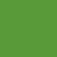 Краска Hygge цвет RAL Yellow green 6018 Fleurs 0.4 л