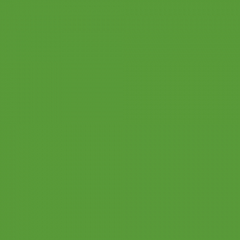 Краска Hygge цвет RAL Yellow green 6018 Fleurs 0.4 л