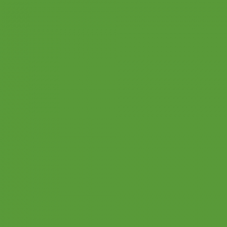 Краска Hygge цвет RAL Yellow green 6018 Fleurs 0.4 л