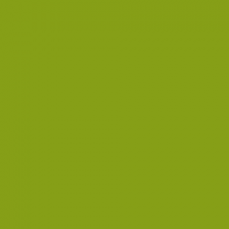 Краска Little Greene цвет NCS S 2070-G50Y