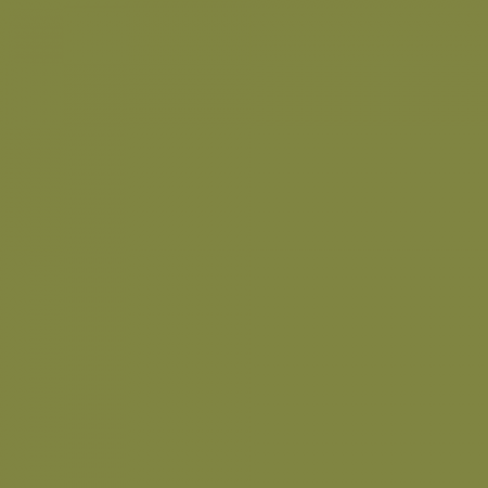 Краска Little Greene цвет NCS S 4040-G60Y