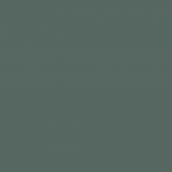 Краска Charmant цвет Green Needles NC35-0779 Sommet 0.9 л