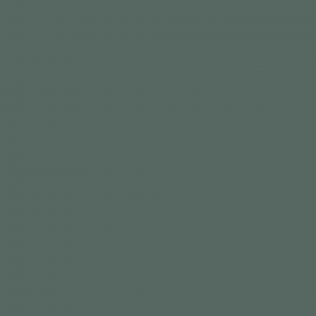 Краска Charmant цвет Green Needles NC35-0779 Sommet 0.9 л