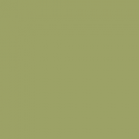 Краска Little Greene цвет NCS S 3030-G60Y