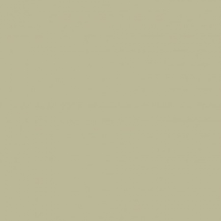 Краска Zoffany цвет Fennel