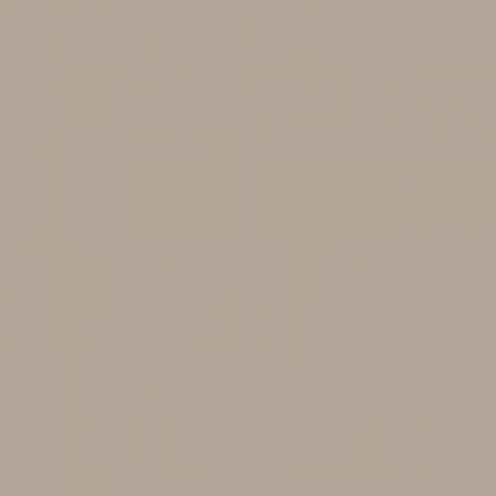 Краска Charmant цвет Light Graphite NC24-0422 Sommet 0.9 л