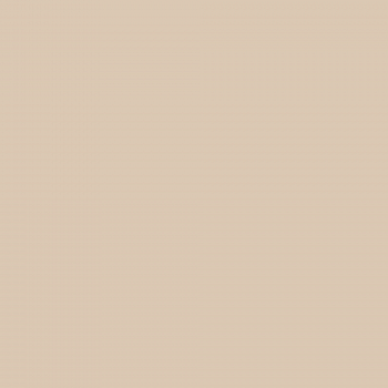Краска Charmant цвет Beige Onyx NC13-0094 Sommet 0.9 л