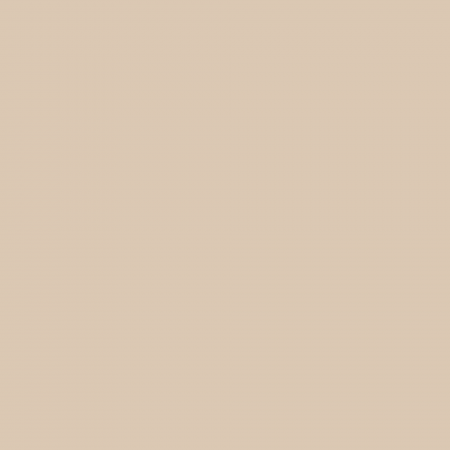 Краска Charmant цвет Beige Onyx NC13-0094 Sommet 0.9 л