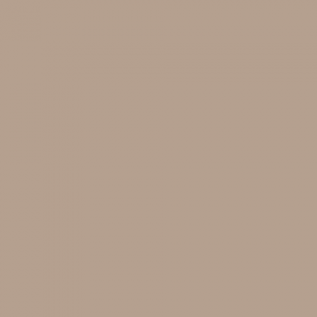 Краска Swiss Lake цвет Flat White NC23-0416